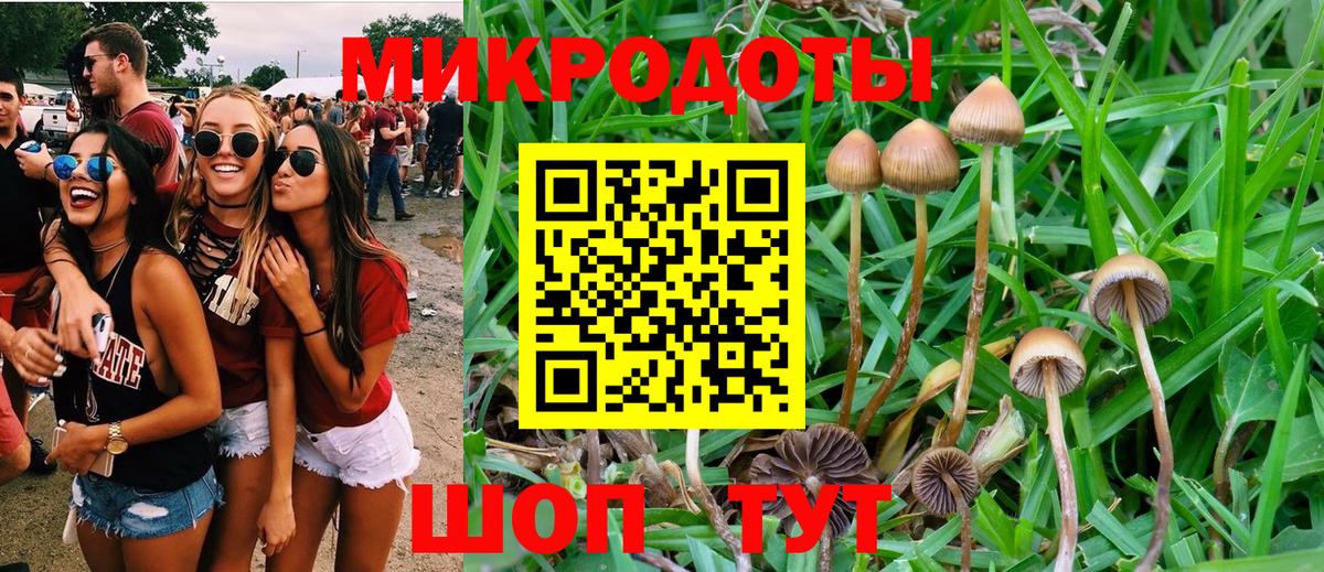 Псилоцибиновые грибы GOLDEN TEACHER Солнечногорск