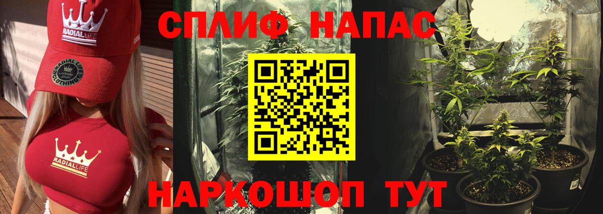 Конопля сатива Солнечногорск